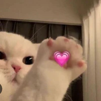 Tác giả xà lách