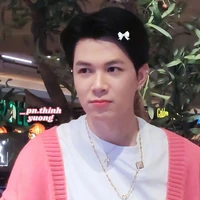Bùi Anh Tú