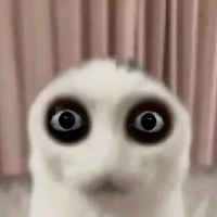 Na thúi ✨( tác giả)