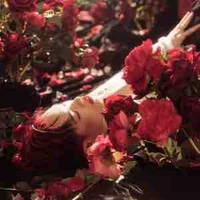 Nguyễn Thanh Pháp - pháp kiều -