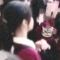 Bún~ nhỏ tác giả