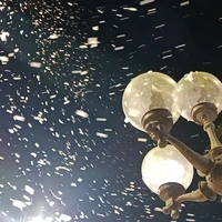 Nhỏ tác giả 
