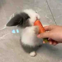 Nhỏ tg nhiều chuyện