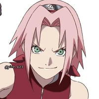 Sakura (17 T)