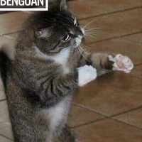 ai đây
