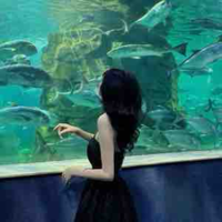 Linh lan