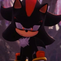 Shadow the hedgehog