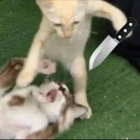 Bí ẩn chưa:))
