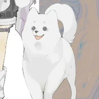 Moochi