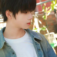 Vương Lỗ Kiệt_Anh