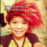 con hệ thống