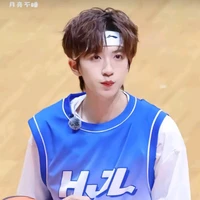 Hạ Tuấn Lâm