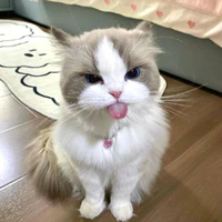 quýt