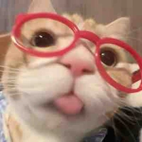 ★˚* Hệ thống[Selina]