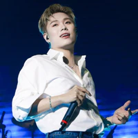 dương domic