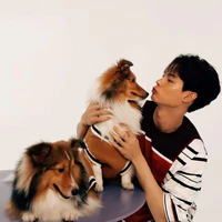 Win Metawin