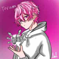 Terumi ( Tác giả ) 