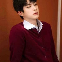 Kim Seokjin 