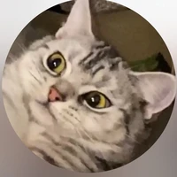sugus