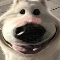 zú quảng cáo rạp phim