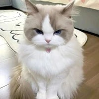 Hệ thống