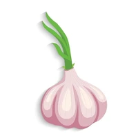 Tỏi Bách Thảo