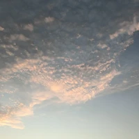 Nhân vật phụ [nam và nữ]