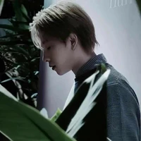 Trần Phong Hào-Nicky