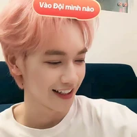 Nguyễn Thái Sơn-Jsol