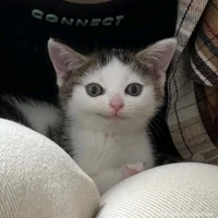 Sốp nè các bạnnnn