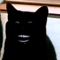 Con mèo méo meo mèo meo=)))