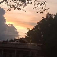 All