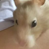 tg có vấn đề tâm lý