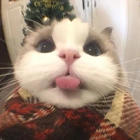 thệ thống (dạng mèo/tg)