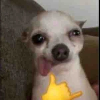 Bạn của lingling