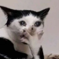 All giáo viên