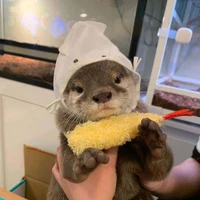 Tác Giả dayy🦦🦦
