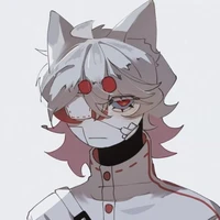 Nekomi