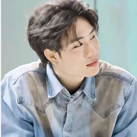 Dương Domic