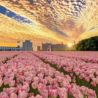 nhân vật phụ