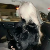 Lưu Ngọc Ánh Chi