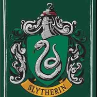 Hs slytherin 