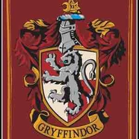 Hs gryffindor 