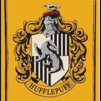 Hs hufflepuff