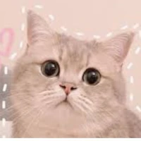t/g♡♡♡♡