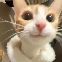 Sá Xị