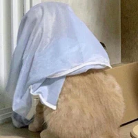 ʏᴜɴɴ [ ᴛáᴄ ɢɪả ]