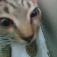 ủa,ai vậy?