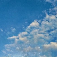 t/g bộ truyện này