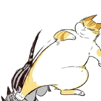 T/g